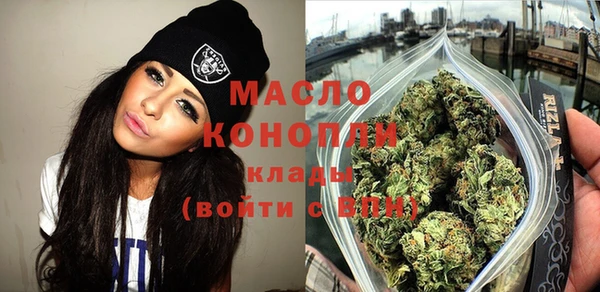 индика Козельск