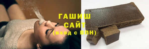 индика Козельск