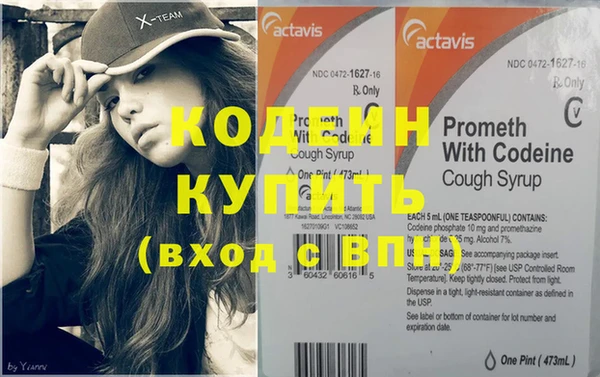 индика Козельск