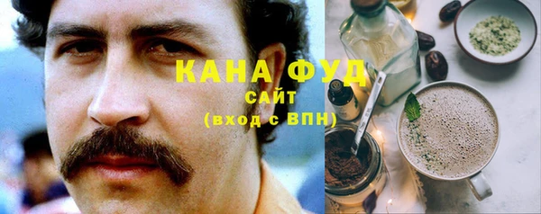 индика Козельск