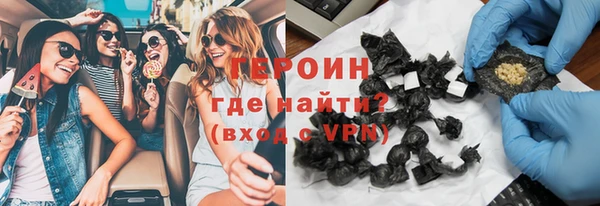 индика Козельск